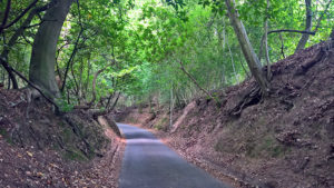 Climbing up to Haslemere