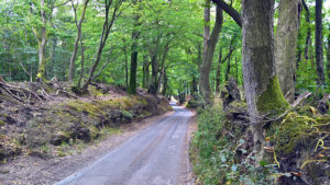 Climbing up to Black Down