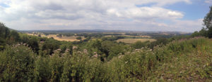 Duncton Hill Panorama