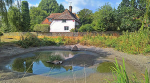 East Dean Pond
