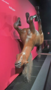 Upside Down Horse!