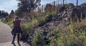 The Start of the Wall