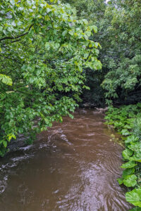 A Winterburn in August