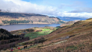 Looking Back Down from the Lower Slopes