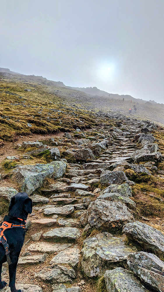 The Path Ahead - Looking Up Towards Browncove Crags