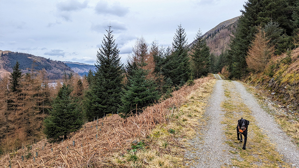 On the Final Straight