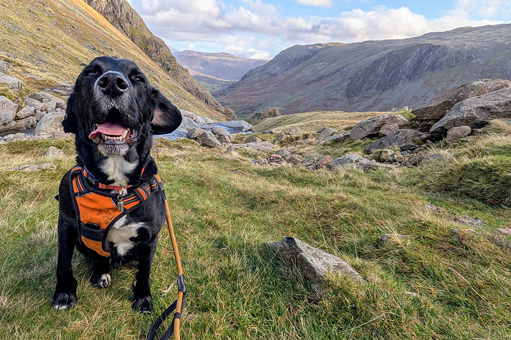 Don't get too excited mate - you've got loads of climbing to do yet