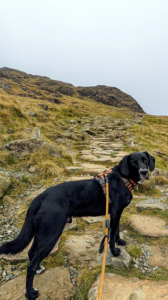 Carry on up the mountain