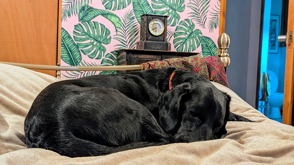 Tired lad